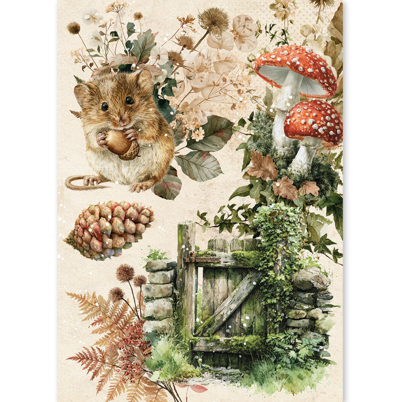 Ciao Bella - The Nature Journal -  Rice Paper Mixed - A5