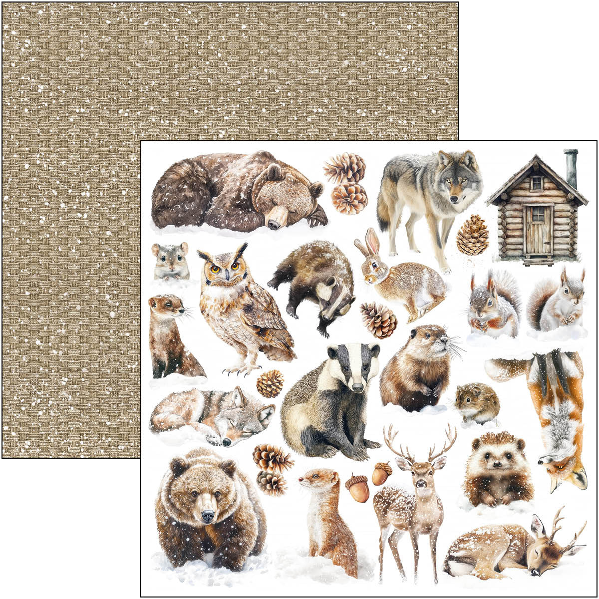 Ciao Bella - Forest Tales - Paper Pack  (8 ark)  12 x 12"