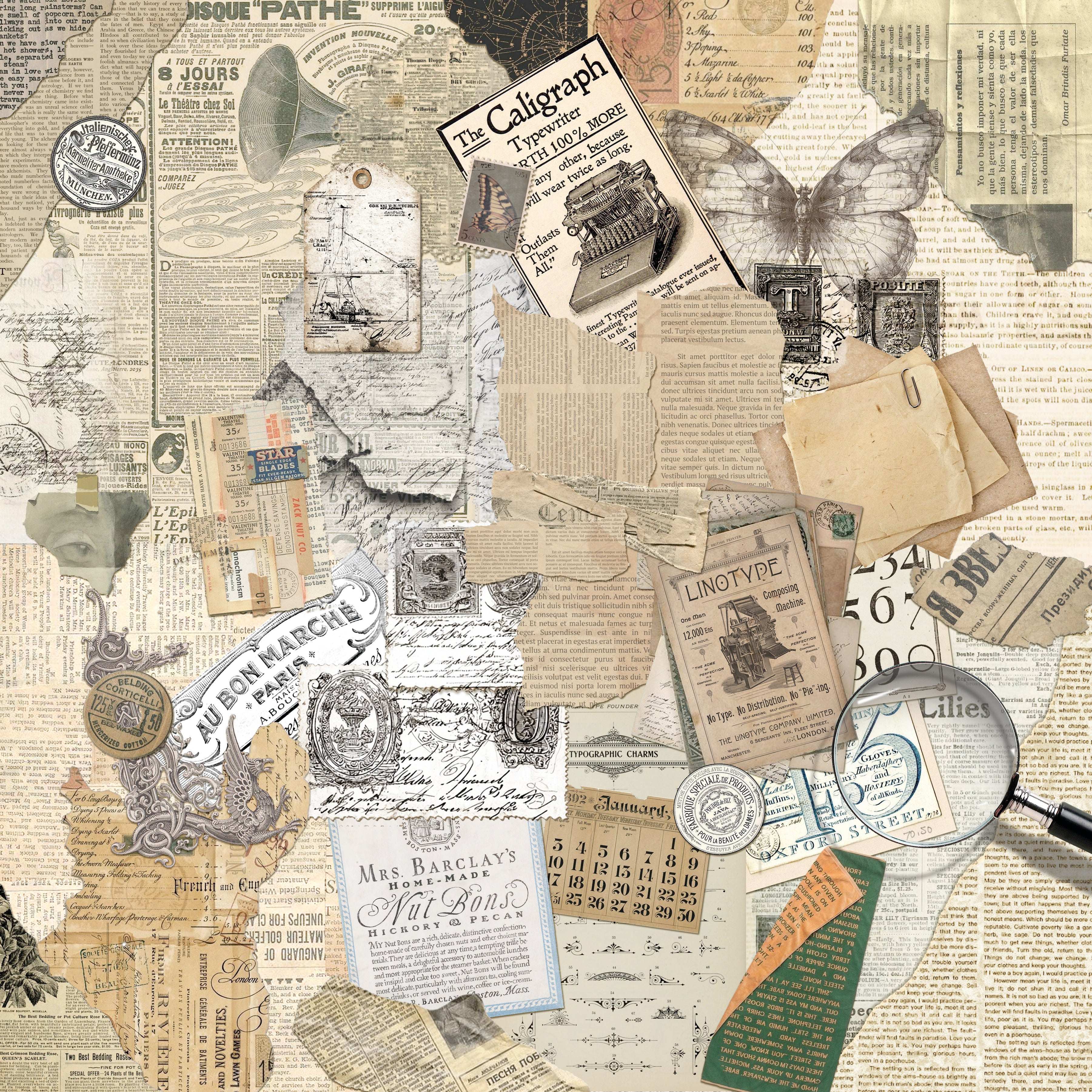 Ciao Bella - Typographic - Paper Pack  (8 ark)  12 x 12"