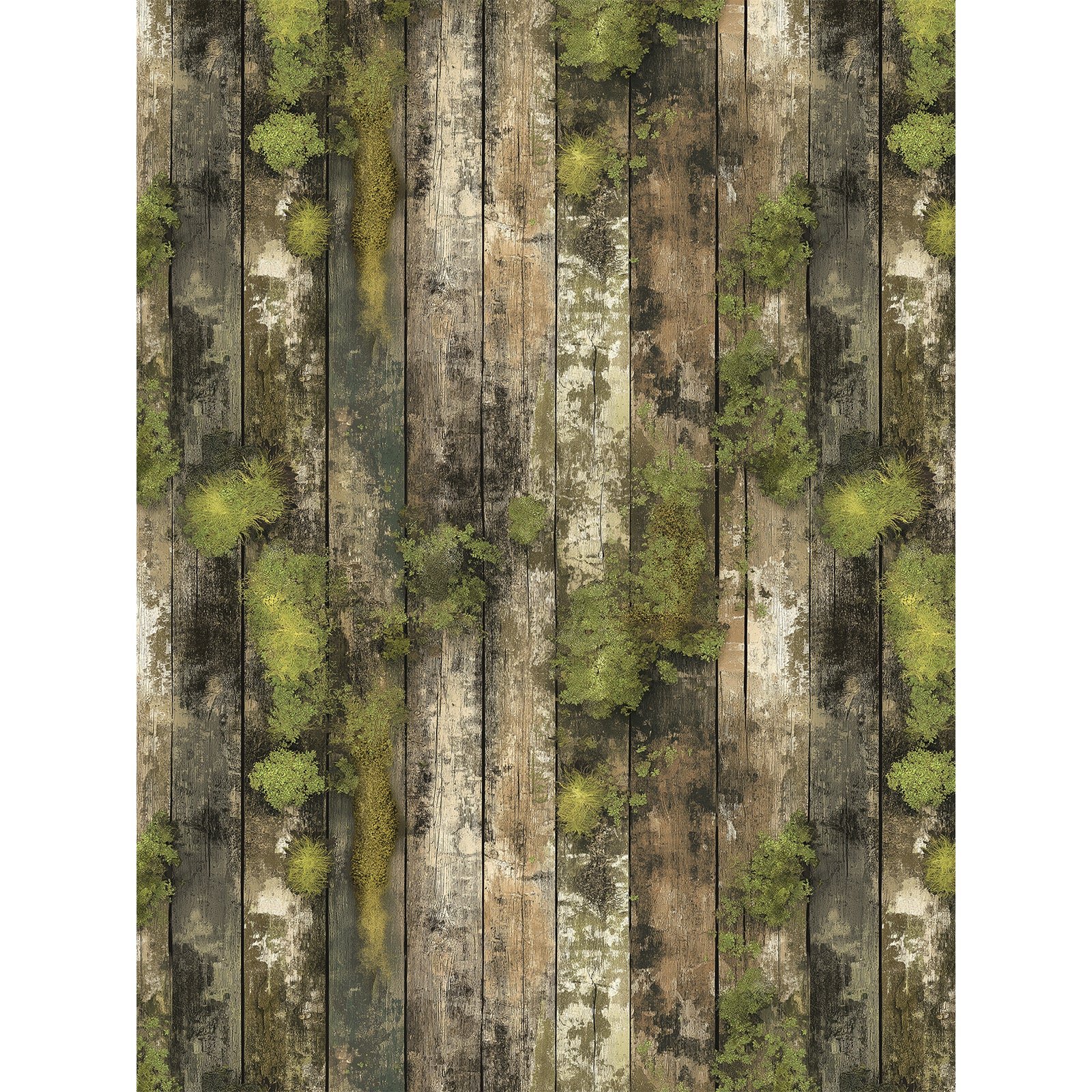 49 and Market - Campfire Memories - Collection pack - 6 x 8"