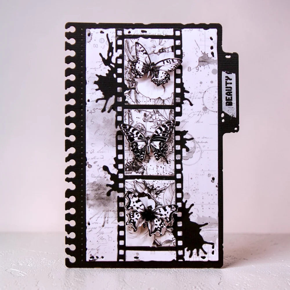 Aall and Create - Dies - Through the Lens - Striped Splash