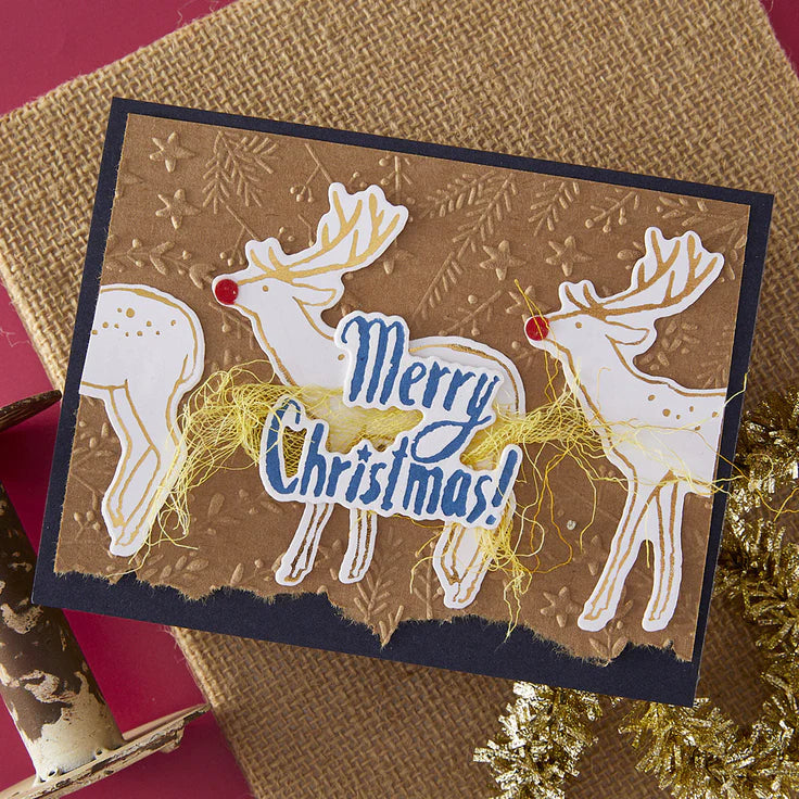 Spellbinders - 3D Embossing Folder - The Starry Holiday Collection by Dina Wakley - Stars and Fronds Frame