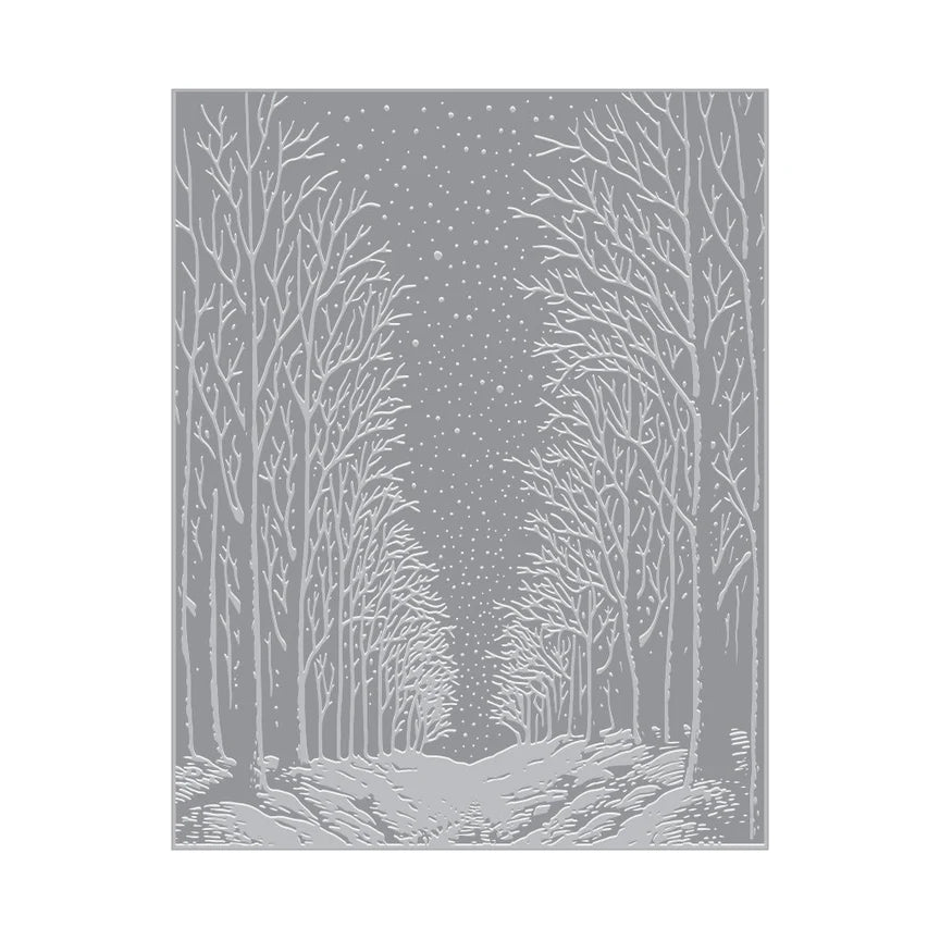 Hero Arts - Letterpress & Glimmer Hot Foil Plate -  Snowy Night