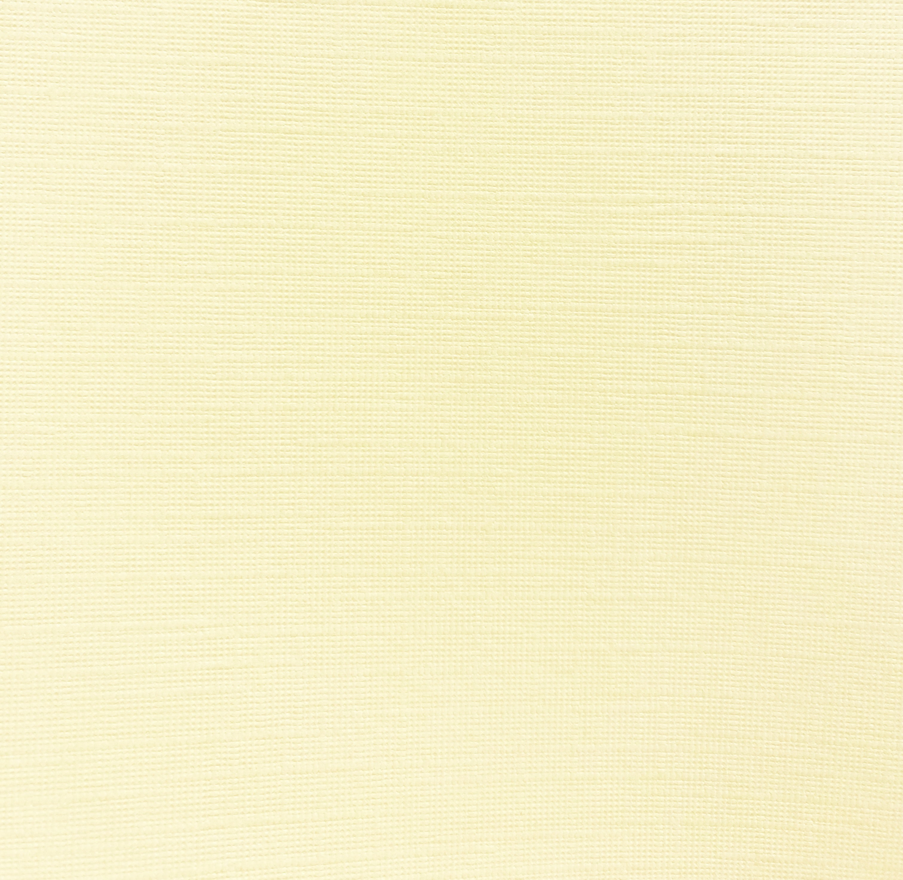 The Paper Company - Cardstock - Ivory -   12 x 12"