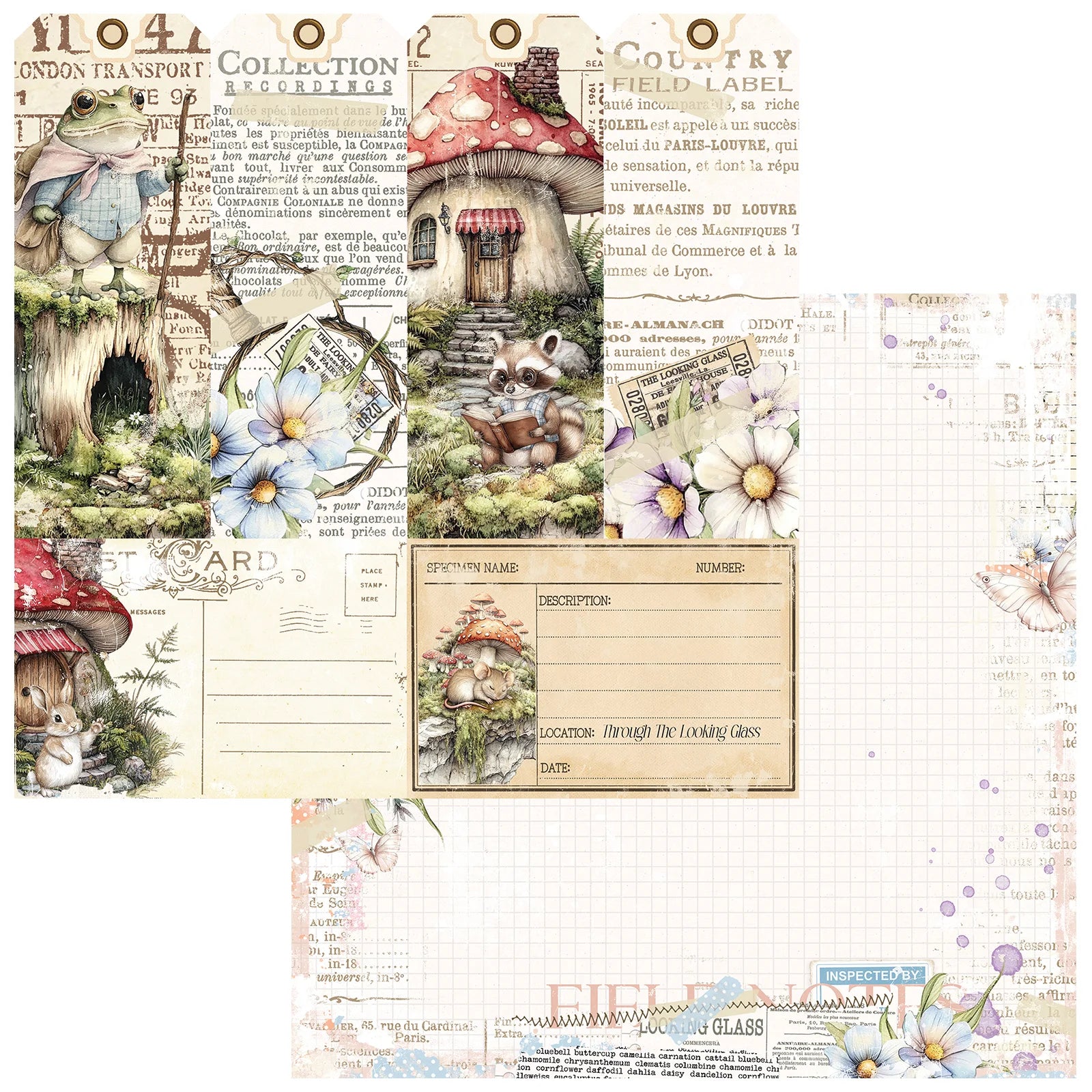 49 and Market - The Looking Glass - Collector of Echoes - 12 x 12"