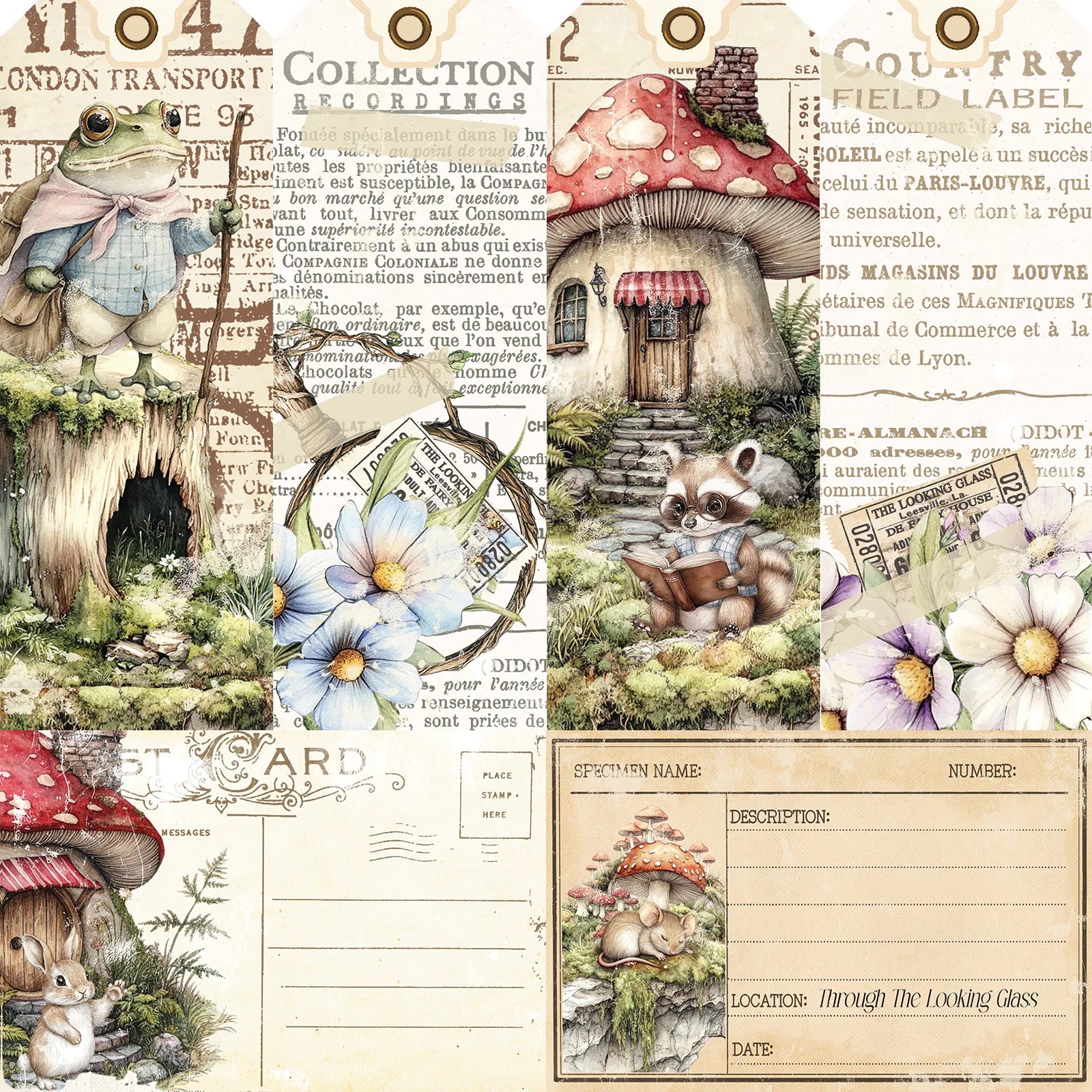 49 and Market - The Looking Glass - Collector of Echoes - 12 x 12"