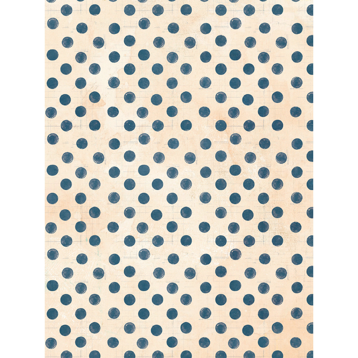 49 and Market - Mouse & Co. - Collection pack - 6 x 8"