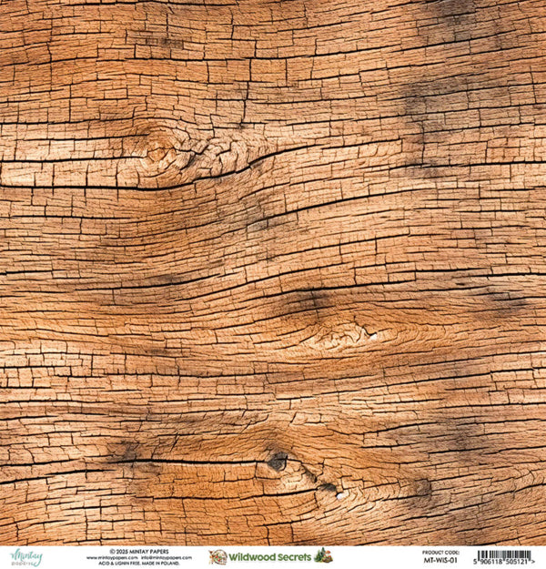Mintay Papers - Wildwood Secrets - 01 - 12x12"