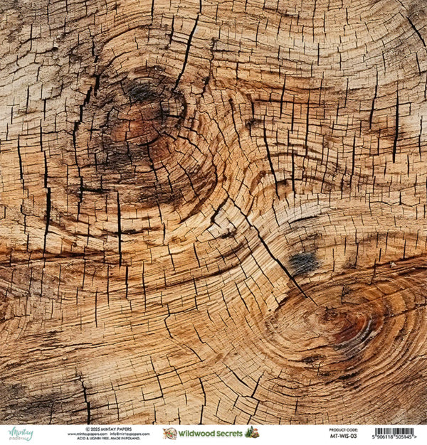 Mintay Papers - Wildwood Secrets - 03 - 12x12"