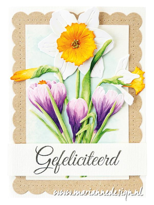 Marianne Design - Dies - Scalloped Rectangles