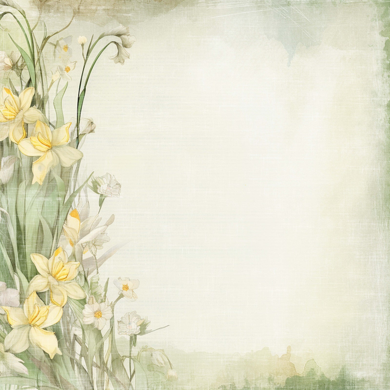 Reprint - Easter Collection - Daffodil -  12 x 12"
