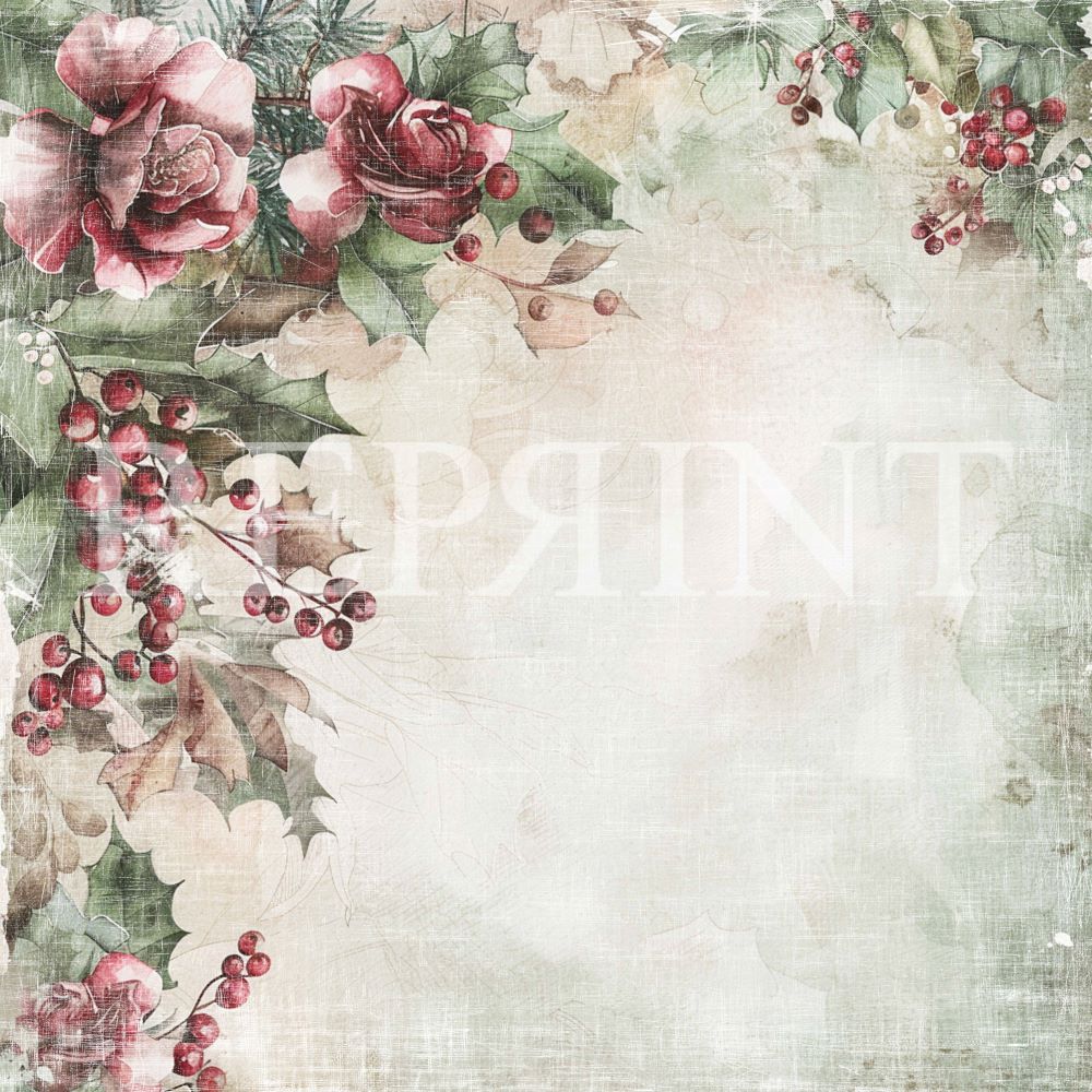 Reprint - Xmas  - Christmas Rose -  12 x 12"