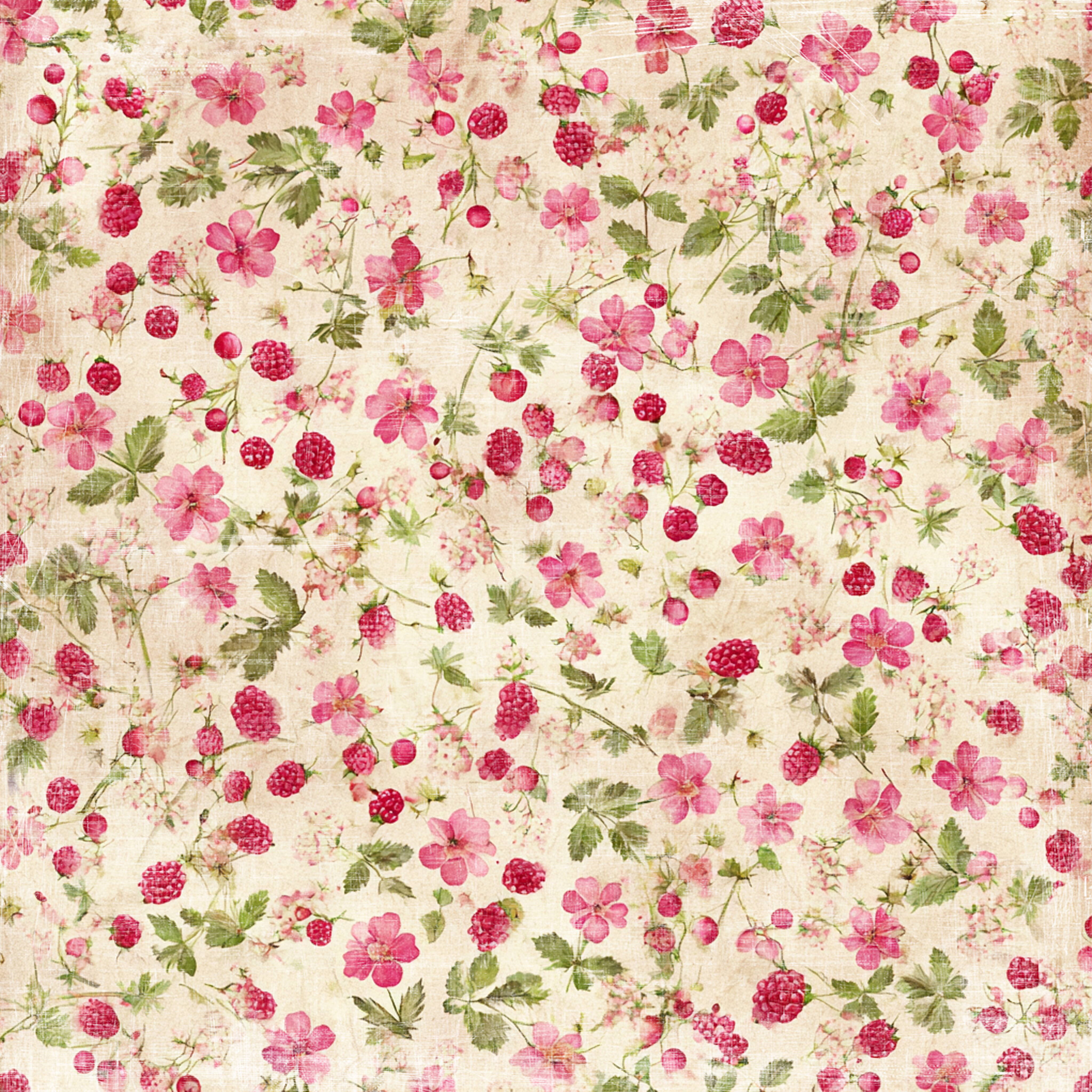 Reprint - Summer Garden Collection - Raspberries  - 12 x 12"