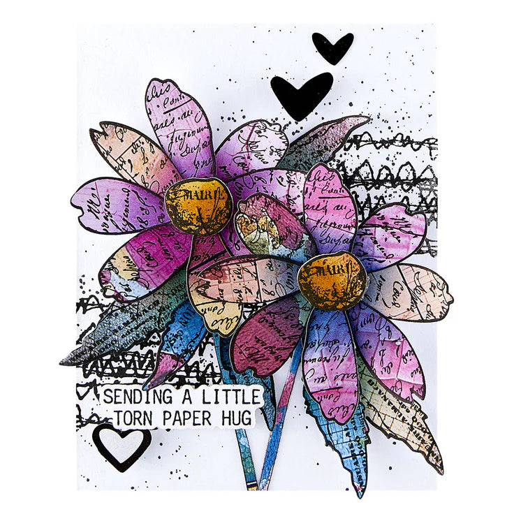 Spellbinders - Stamps & Die Sets - Sculpted Scripted Floral