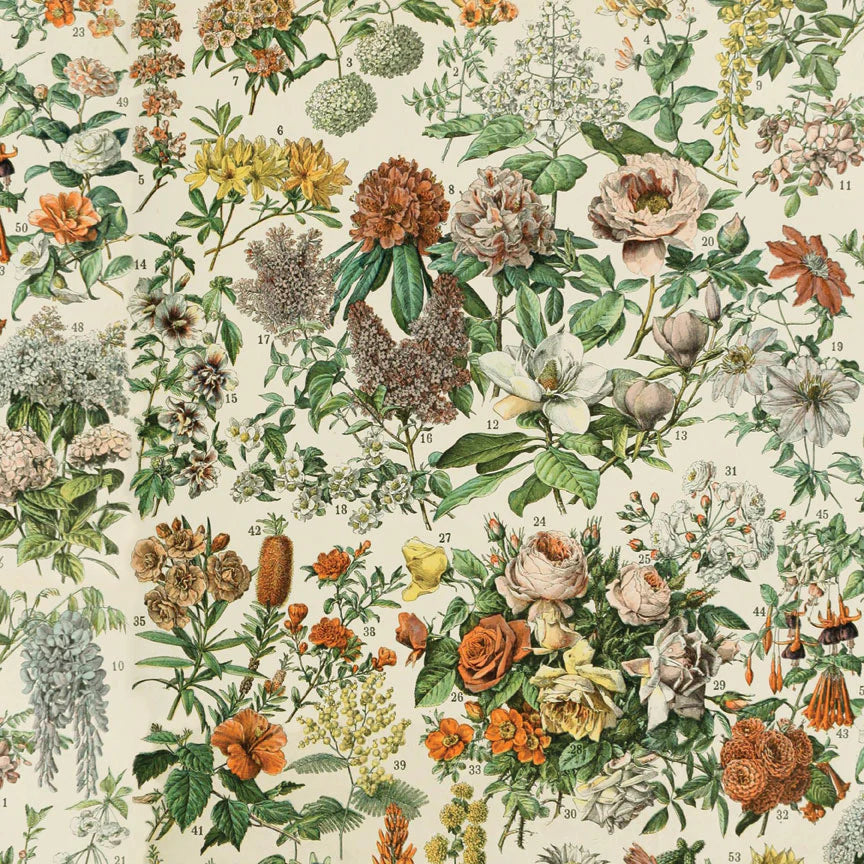 Tim Holtz - Idea-ology - Palette Collection - 12 x 12" - Orange