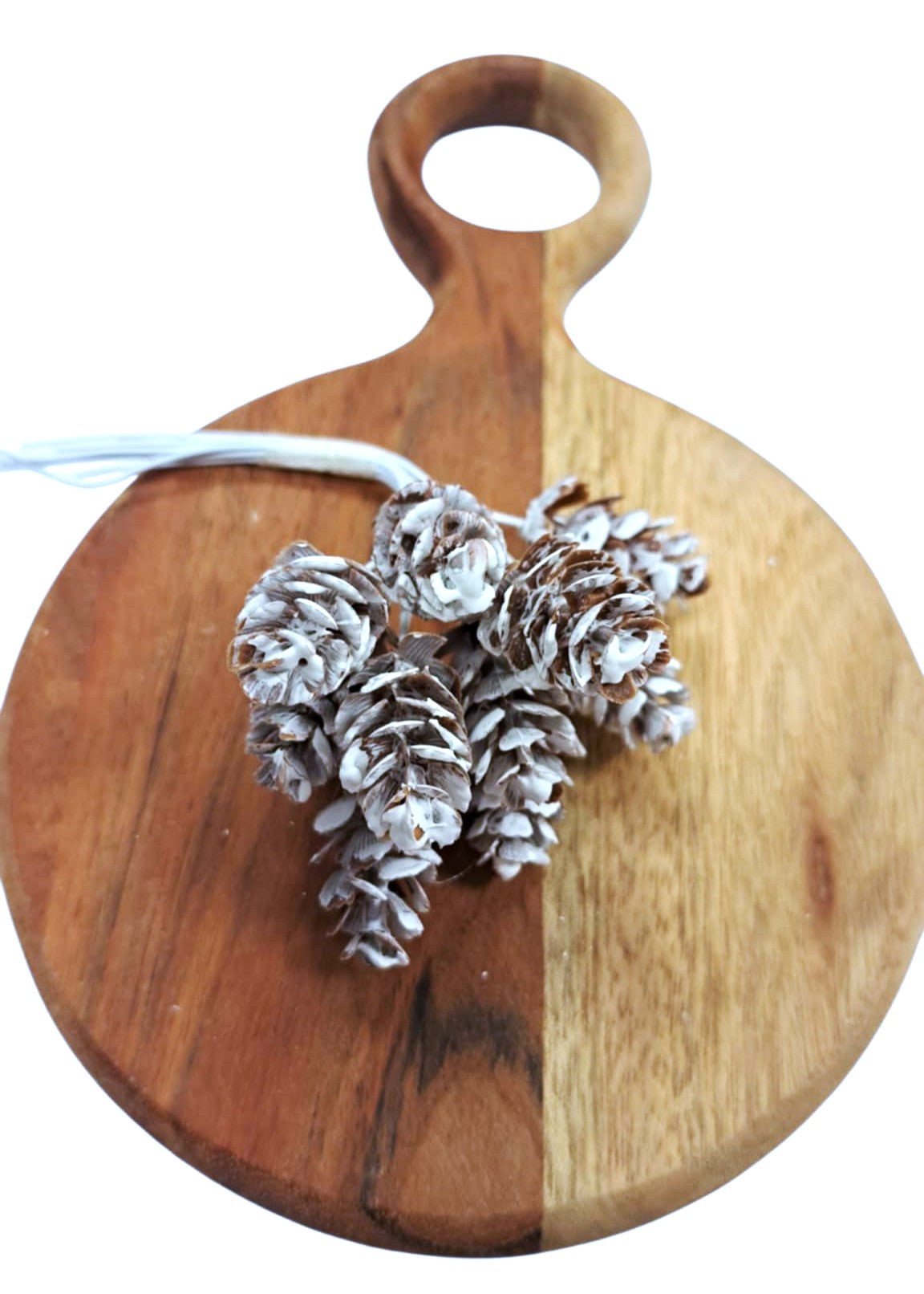 Kongler - Bunt med hvite kongler