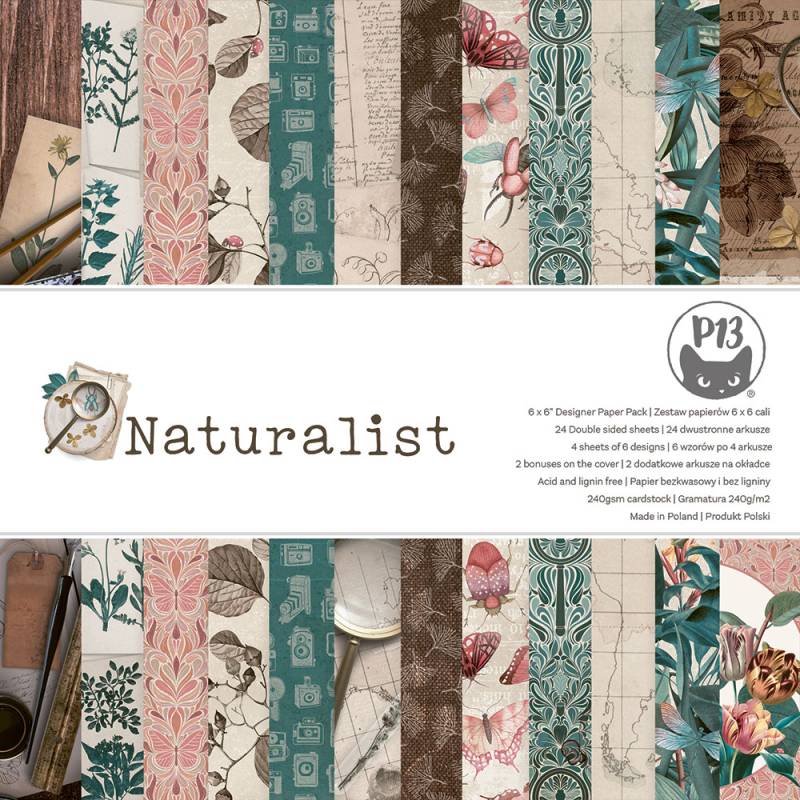P13 - Naturalist - Paper Pad -  6 x 6"