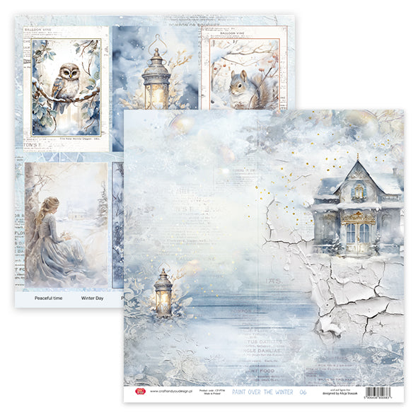 Craft and You - Paint over the winter - Paper Pack   12 x 12"