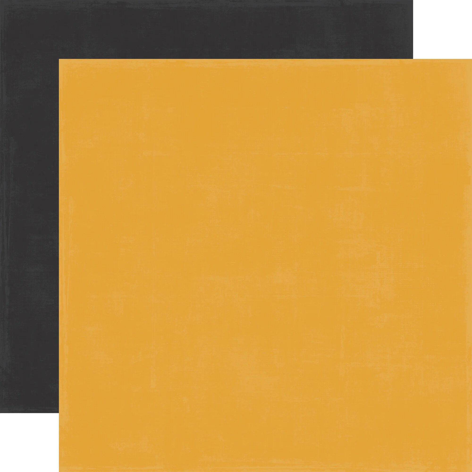 Echo Park - Mouse and Me - Solids  -    12 x 12"