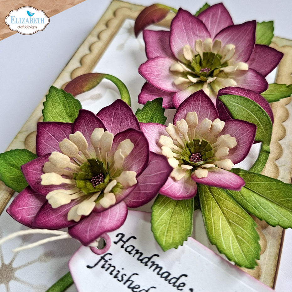 Elizabeth Craft Designs - Dies - Lenten Rose