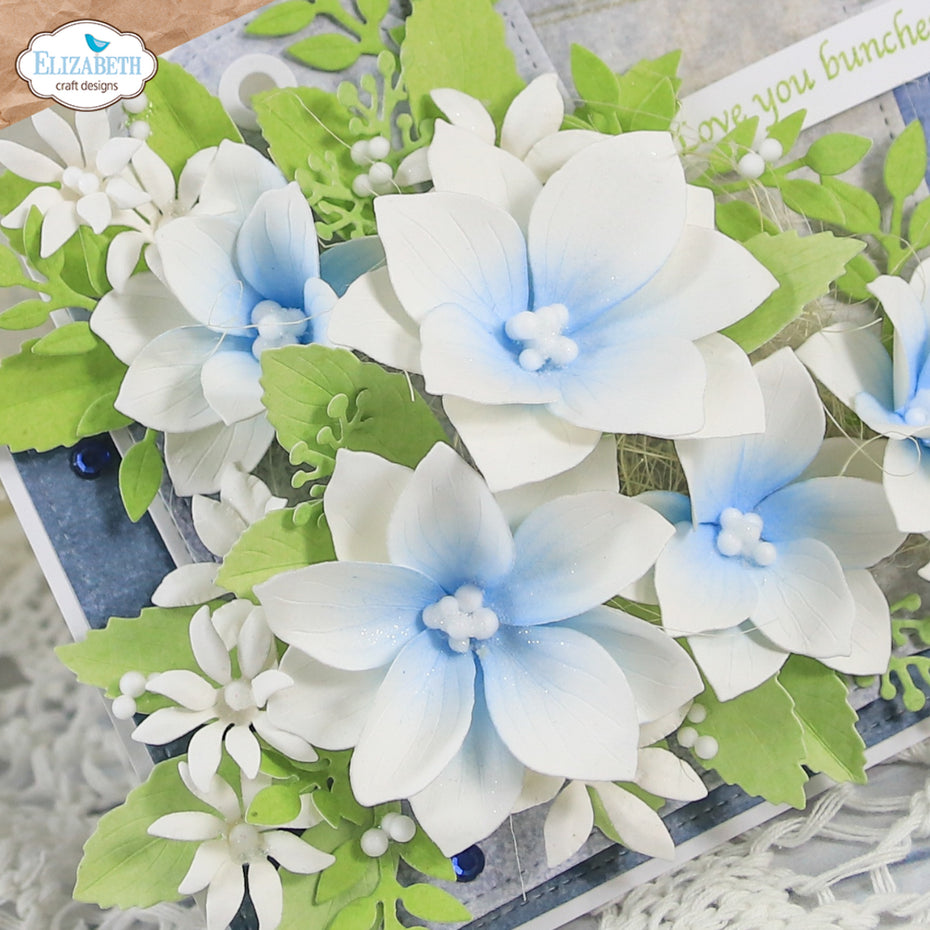 Elizabeth Craft Designs - Dies - Lenten Rose