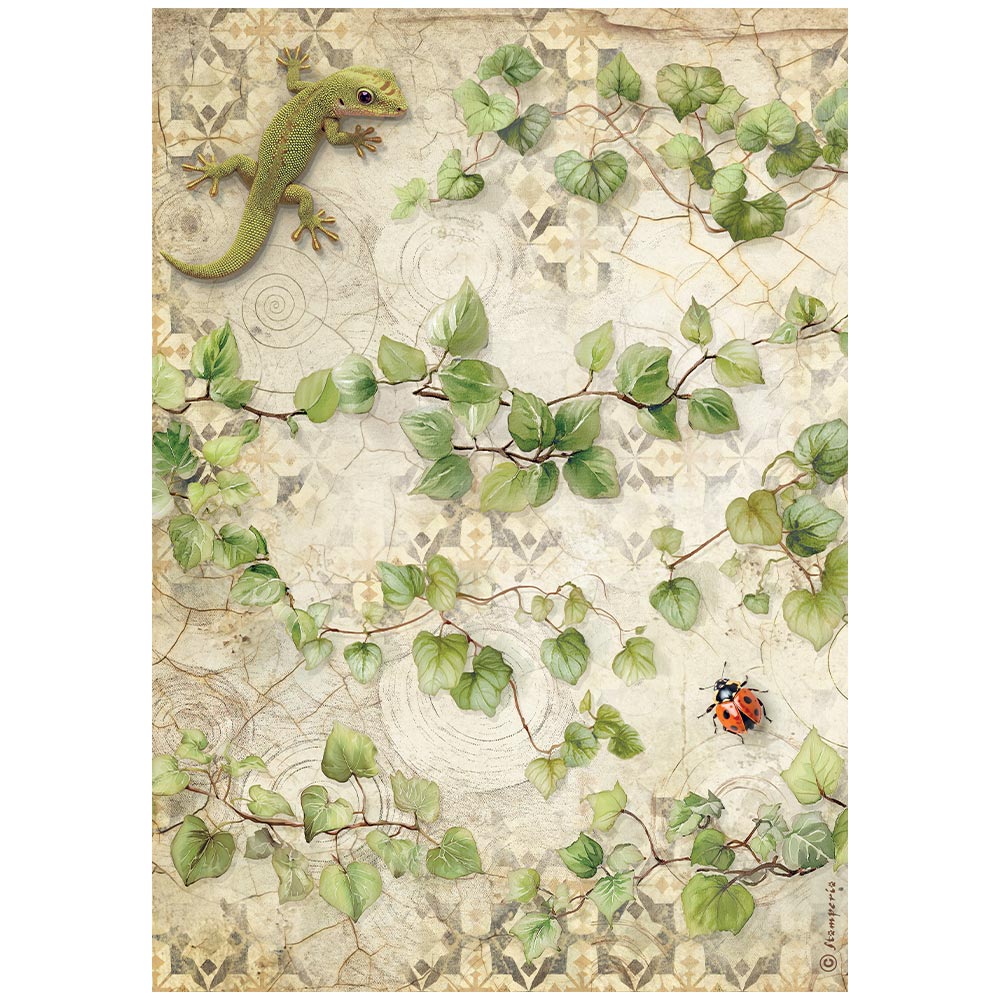 Stamperia -Selection 6 Rice Paper A4 - All Around