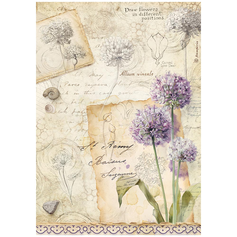 Stamperia -Selection 6 Rice Paper A4 - All Around