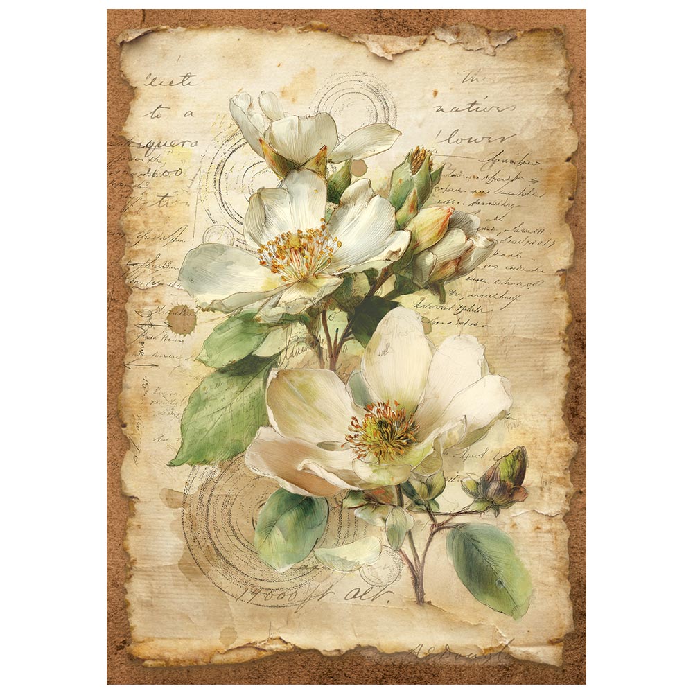 Stamperia - All Around - Mini Rice Paper Selection A6