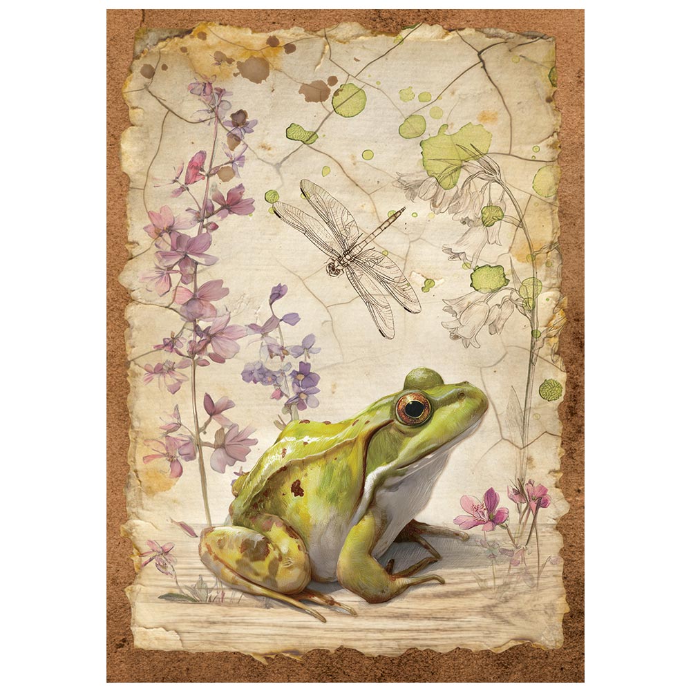 Stamperia - All Around - Mini Rice Paper Selection A6