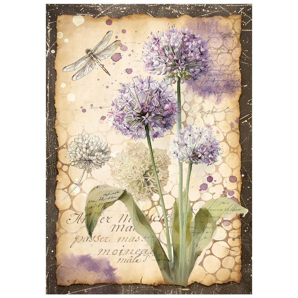 Stamperia - All Around - Mini Rice Paper Selection A6