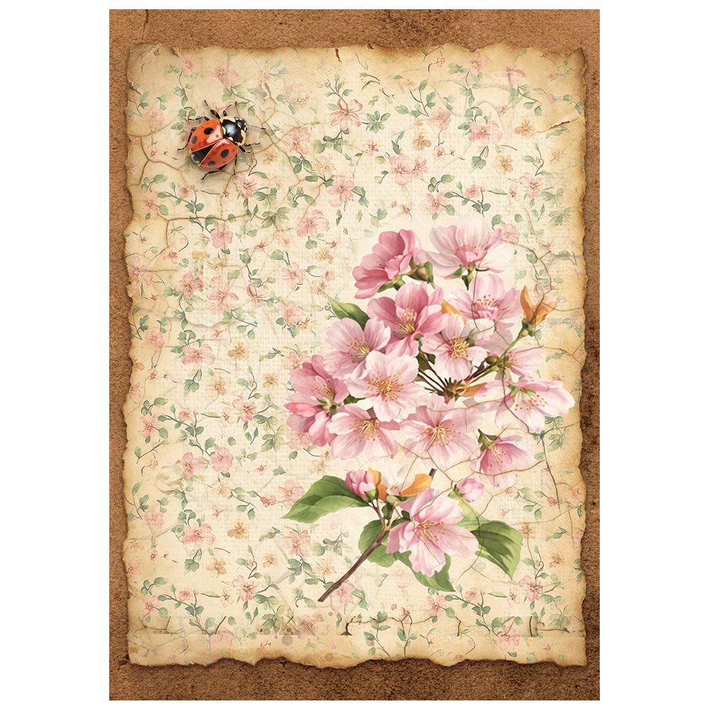 Stamperia - All Around - Mini Rice Paper Selection A6