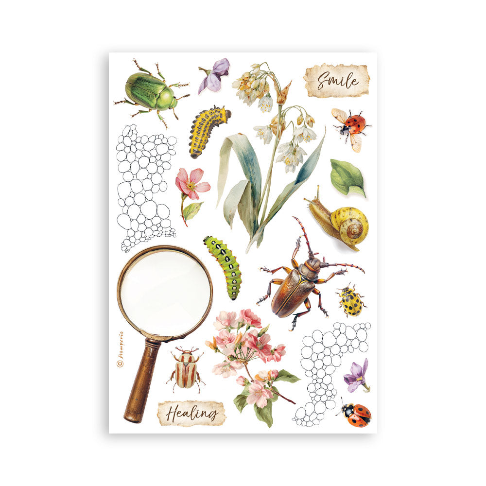 Stamperia - All Around - Washi Pad A5