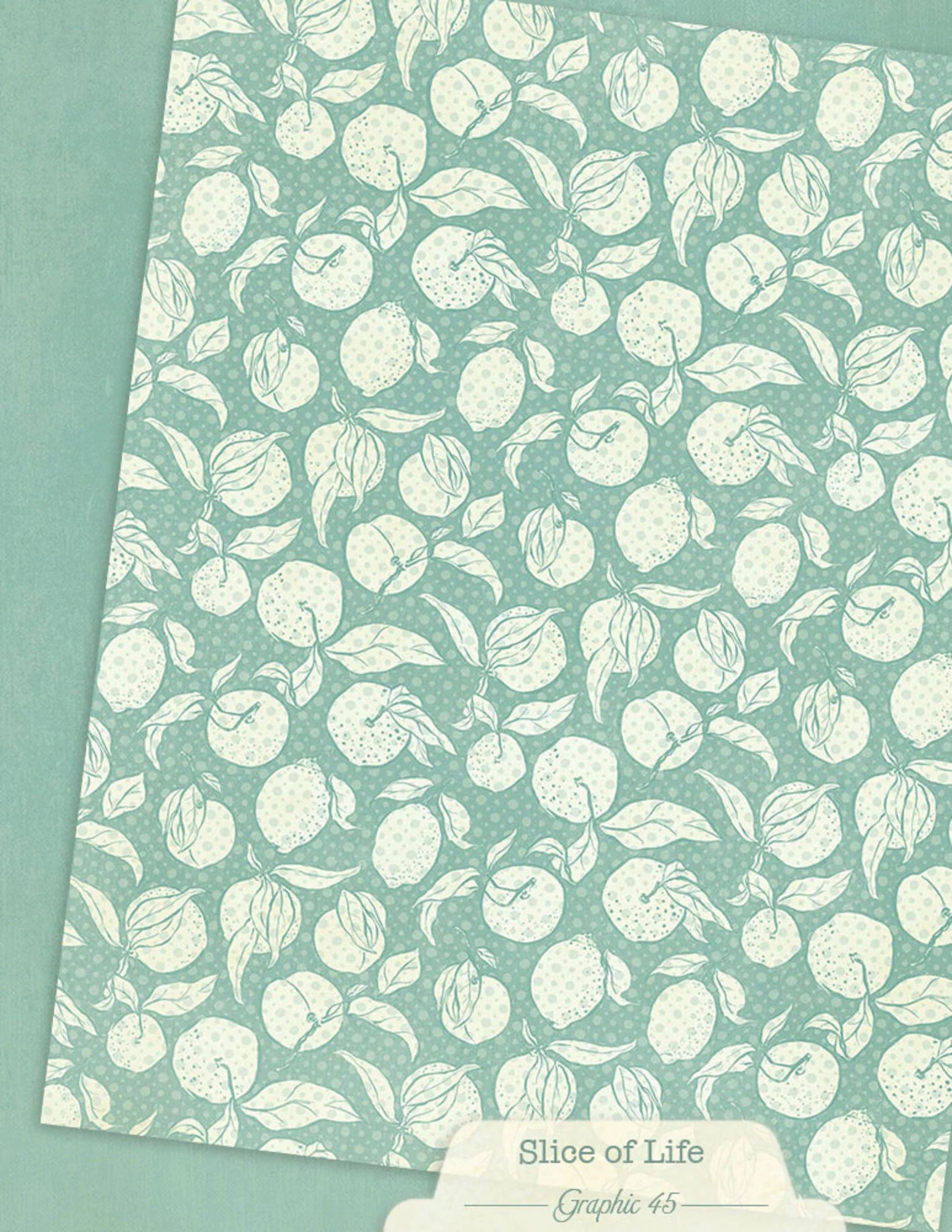 Graphic 45 -  Slice of Life - Patterns & Solids Paper Pad - 8,5 x 11"