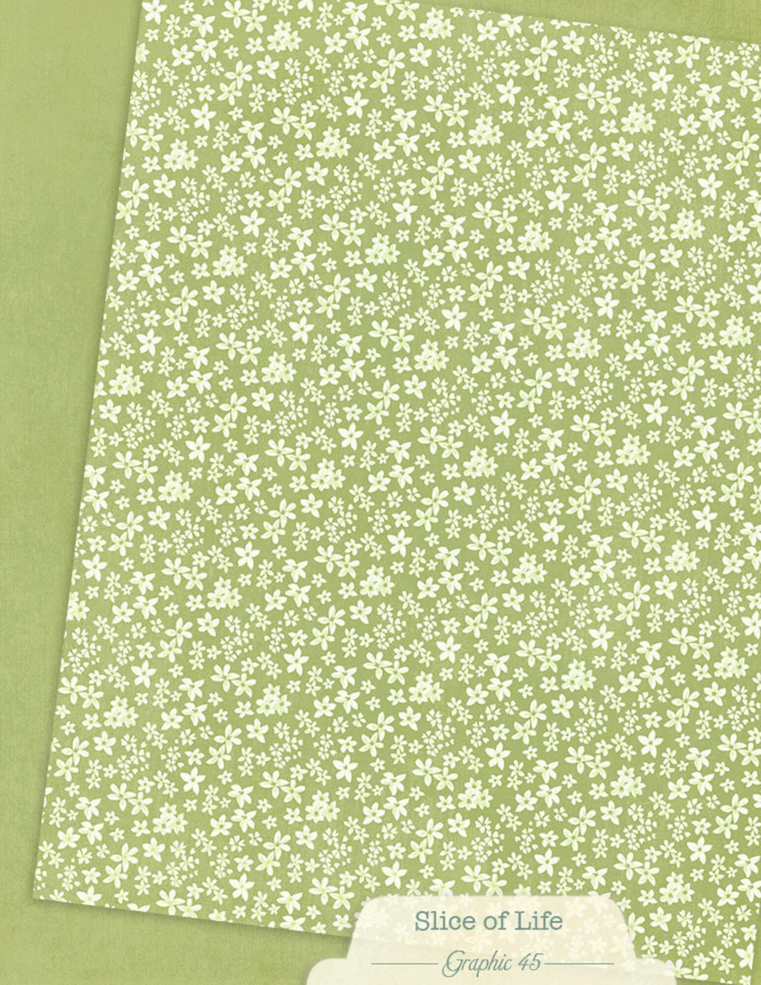 Graphic 45 -  Slice of Life - Patterns & Solids Paper Pad - 8,5 x 11"
