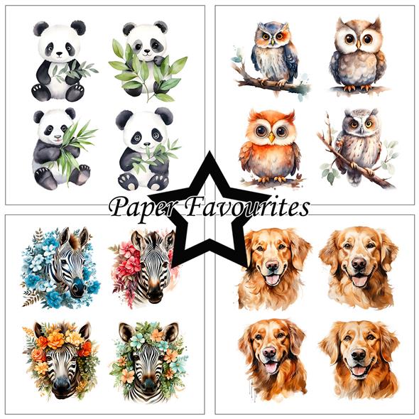 Paper Favourites - Cute Animals - Paper Pack    6 x 6"