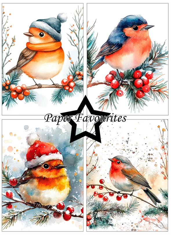 Paper Favourites  - Christmas Birds -  A6