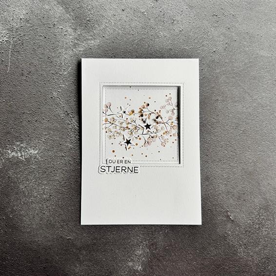 Simple and Basic - Dies - Square frame and window