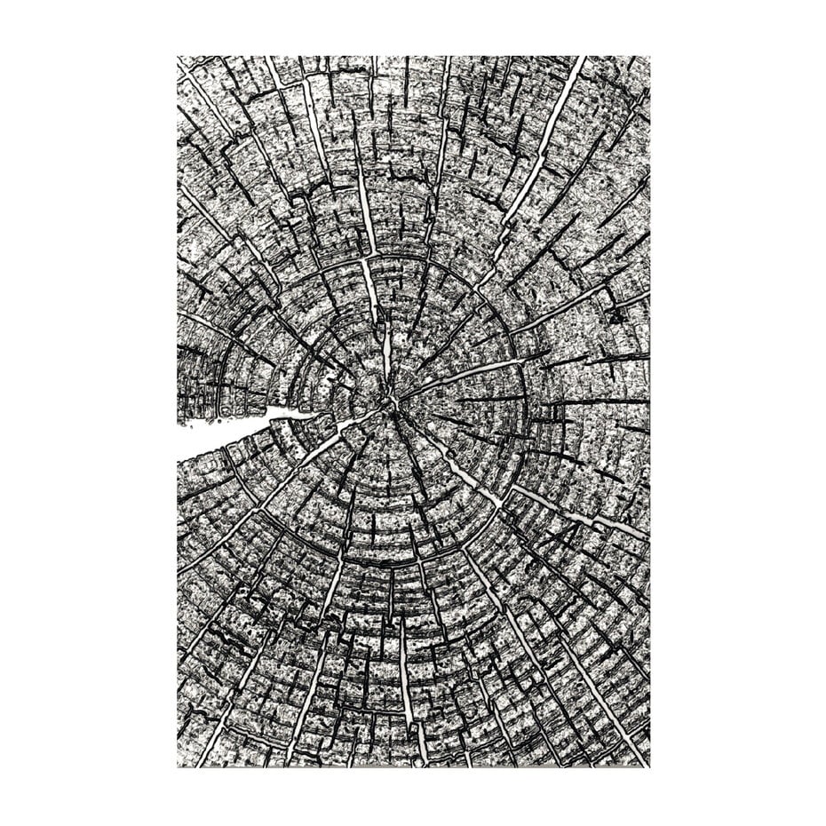 Sizzix / Tim Holtz - 3D Texture Fades w/ A5 Embossing Folder - Tree Rings