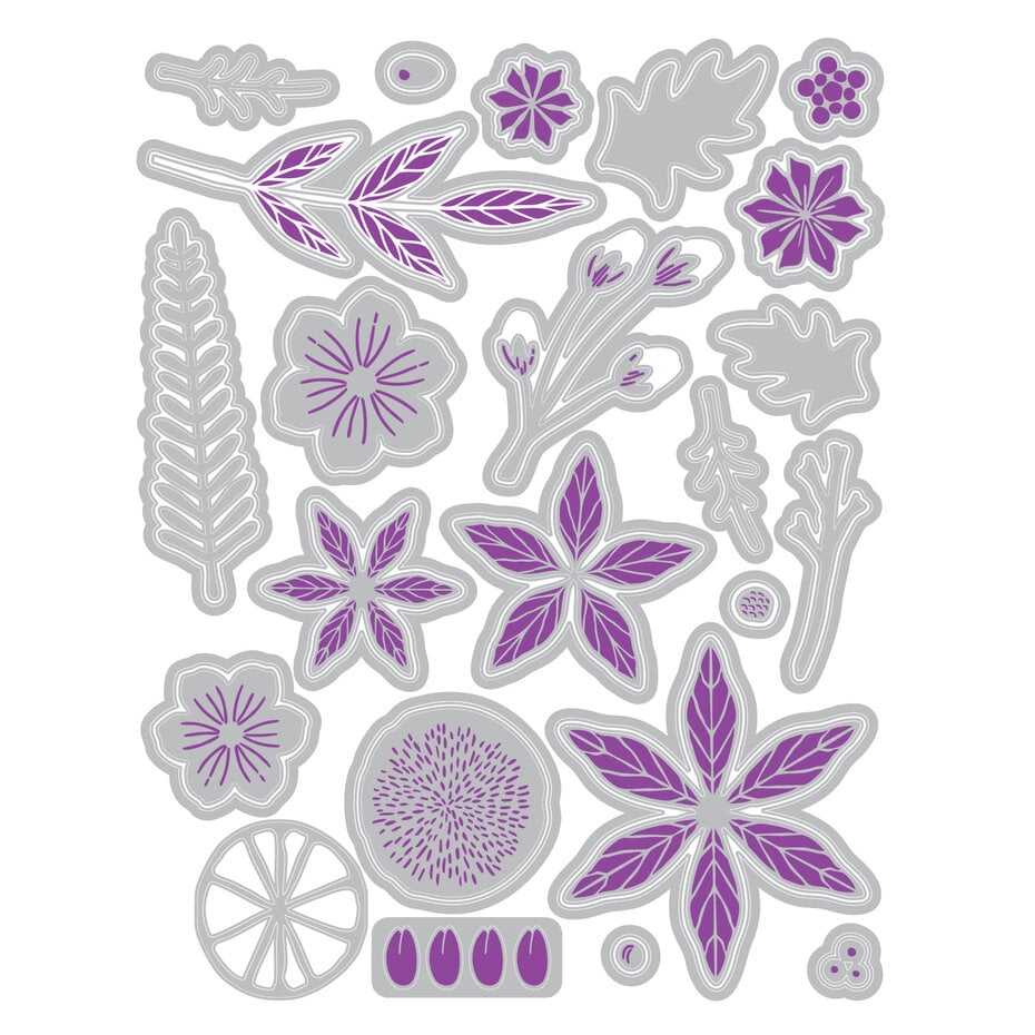 Sizzix - Vicky Boutin - Framelits dies & Clear stamps - Winter Florals