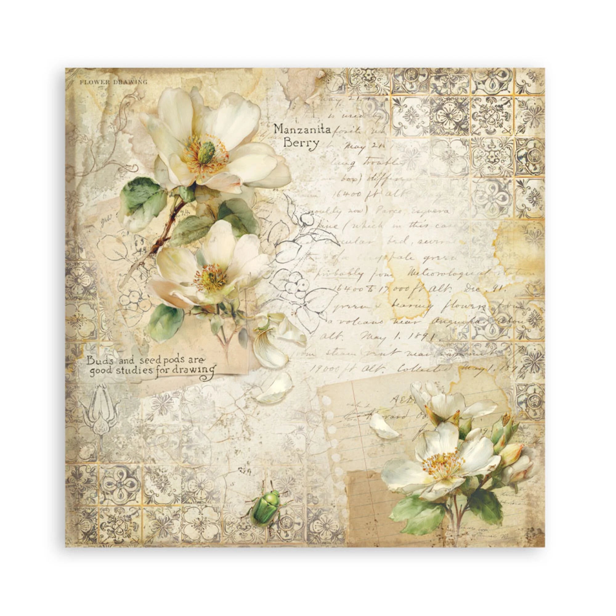 Stamperia  - All Around - Singled sided - Paper Pad  22 pk - 12 x 12"