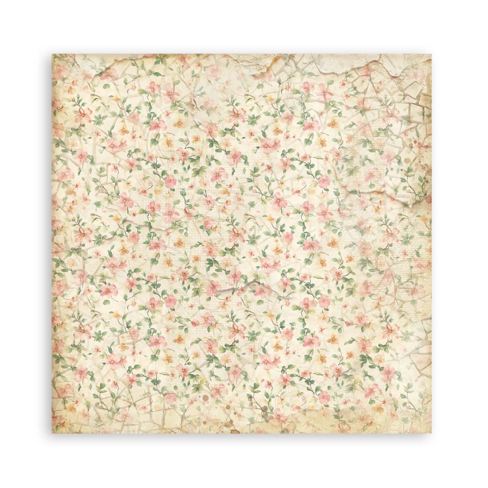 Stamperia  - All Around - Singled sided - Paper Pad  22 pk - 12 x 12"