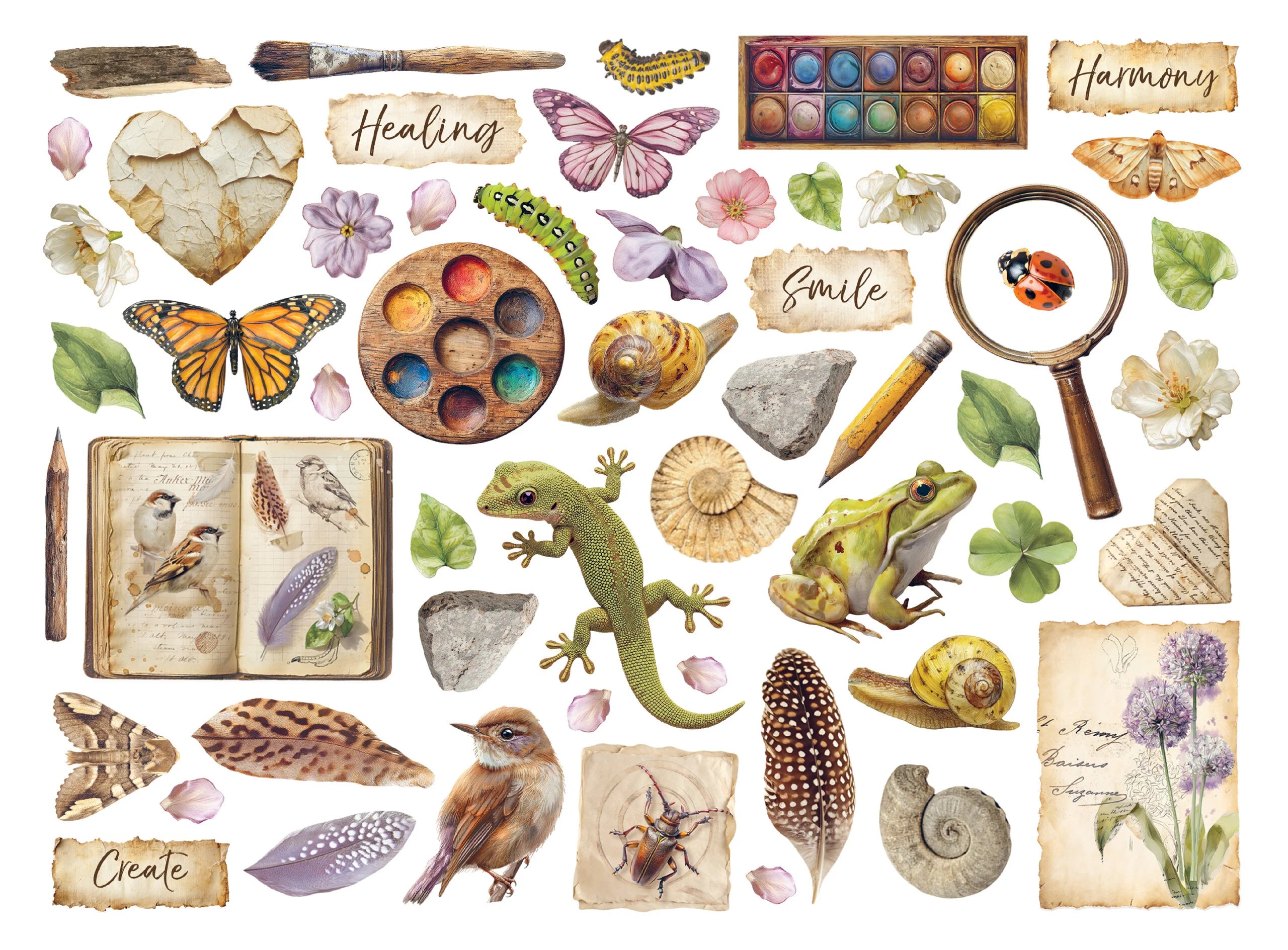 Stamperia  - All Around - Chipboard Die Cuts
