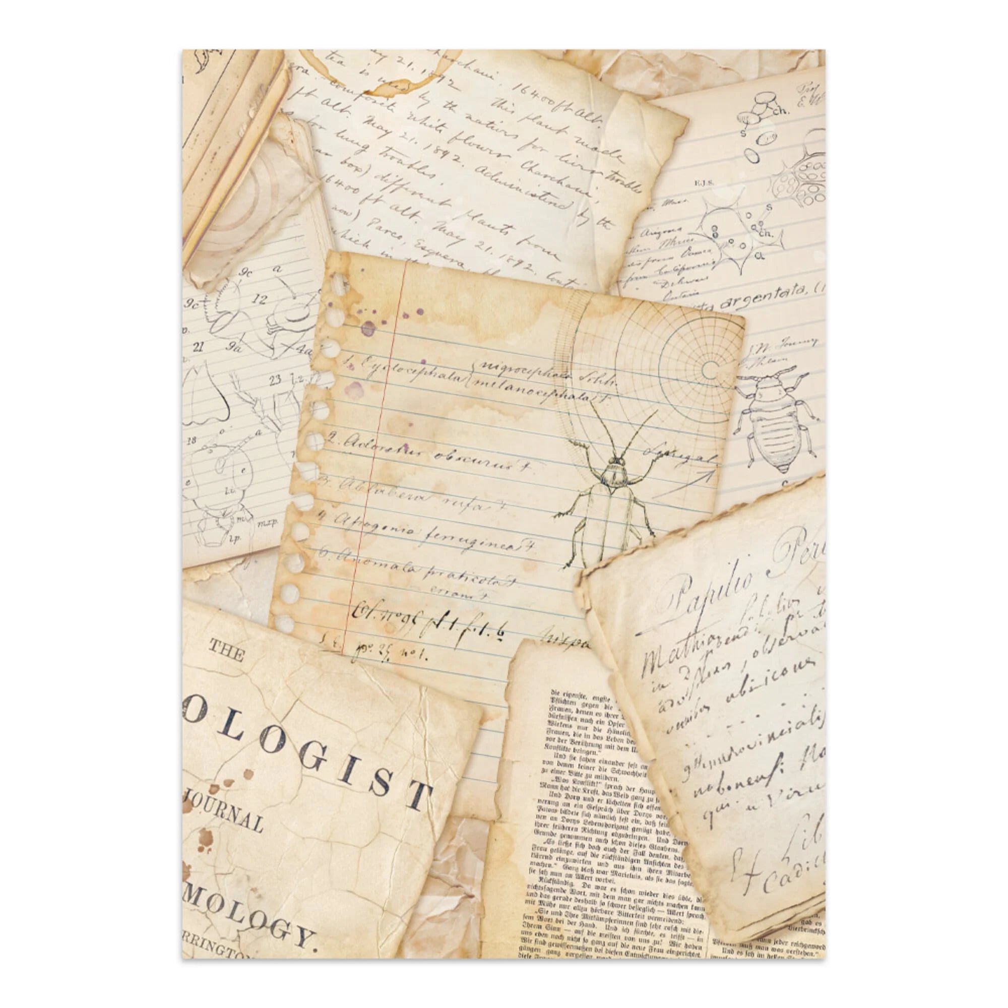 Stamperia - Junk Journal - All Around - A4