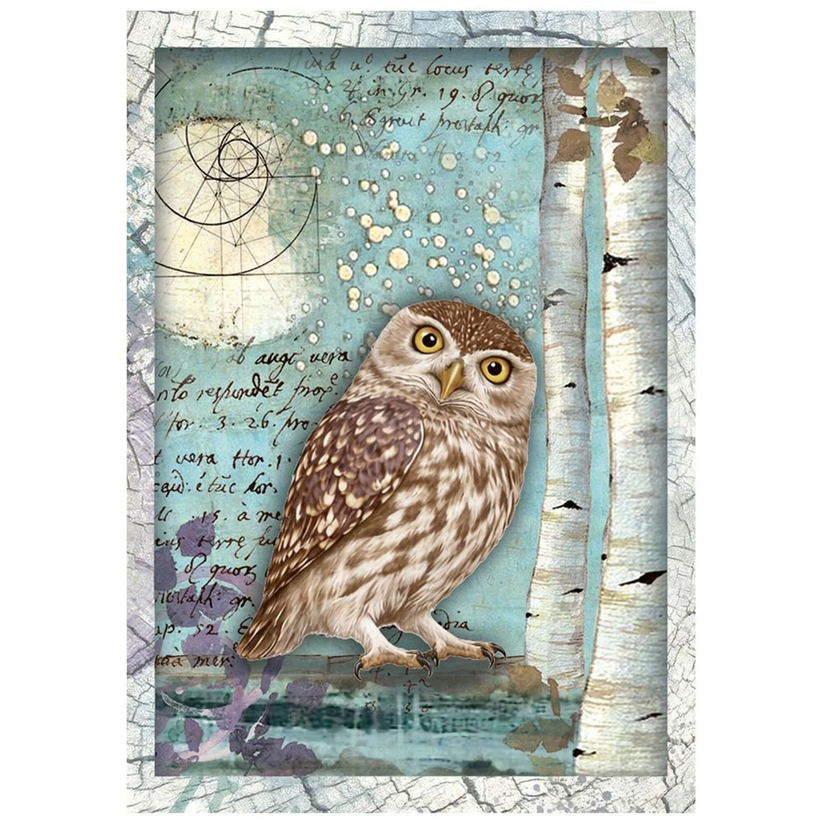 Stamperia - Cosmos - A6 Mini Rice Paper Selection by Cristina Radovan