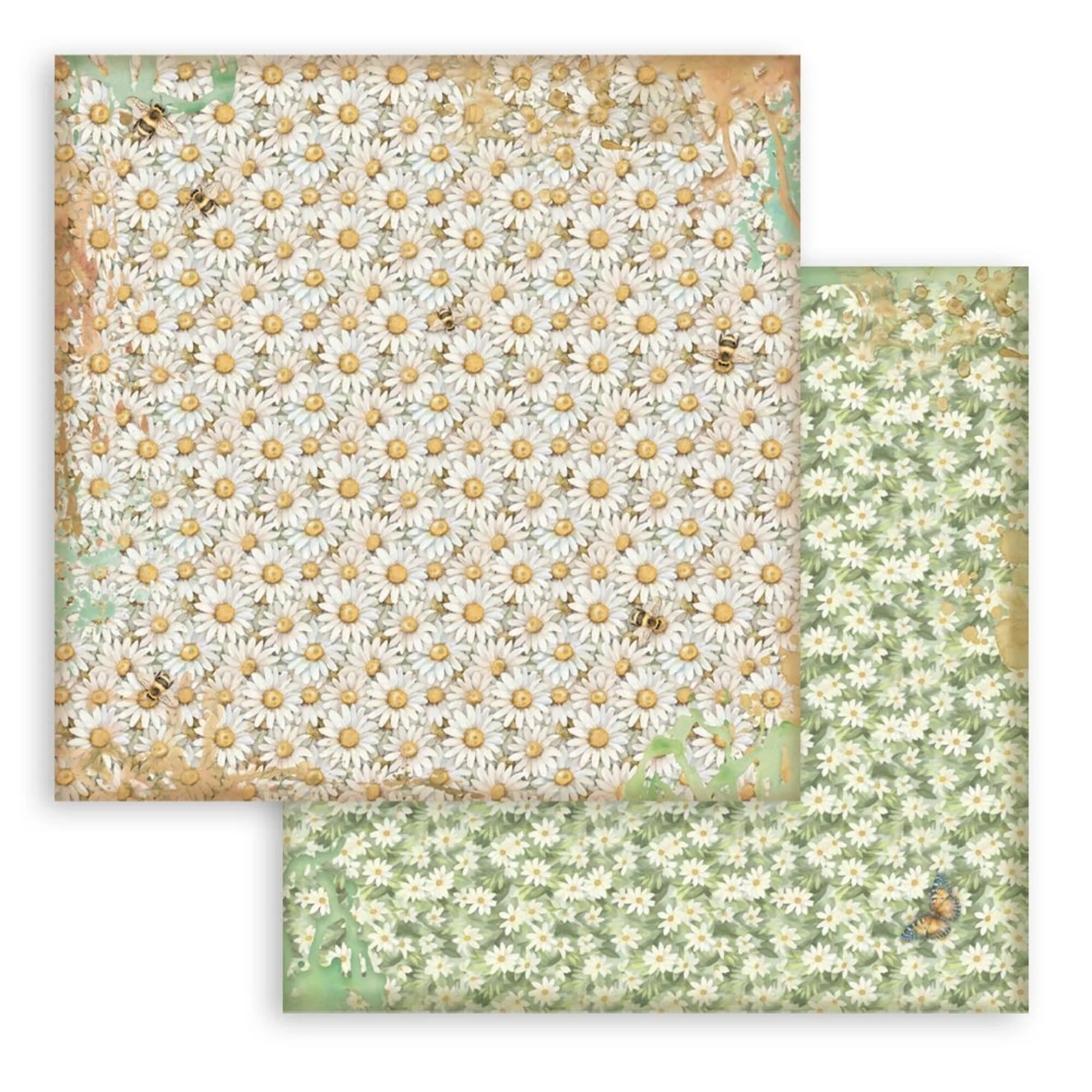 Stamperia - Daisy Art - Background Selection - Paper Pad - 12 x 12"