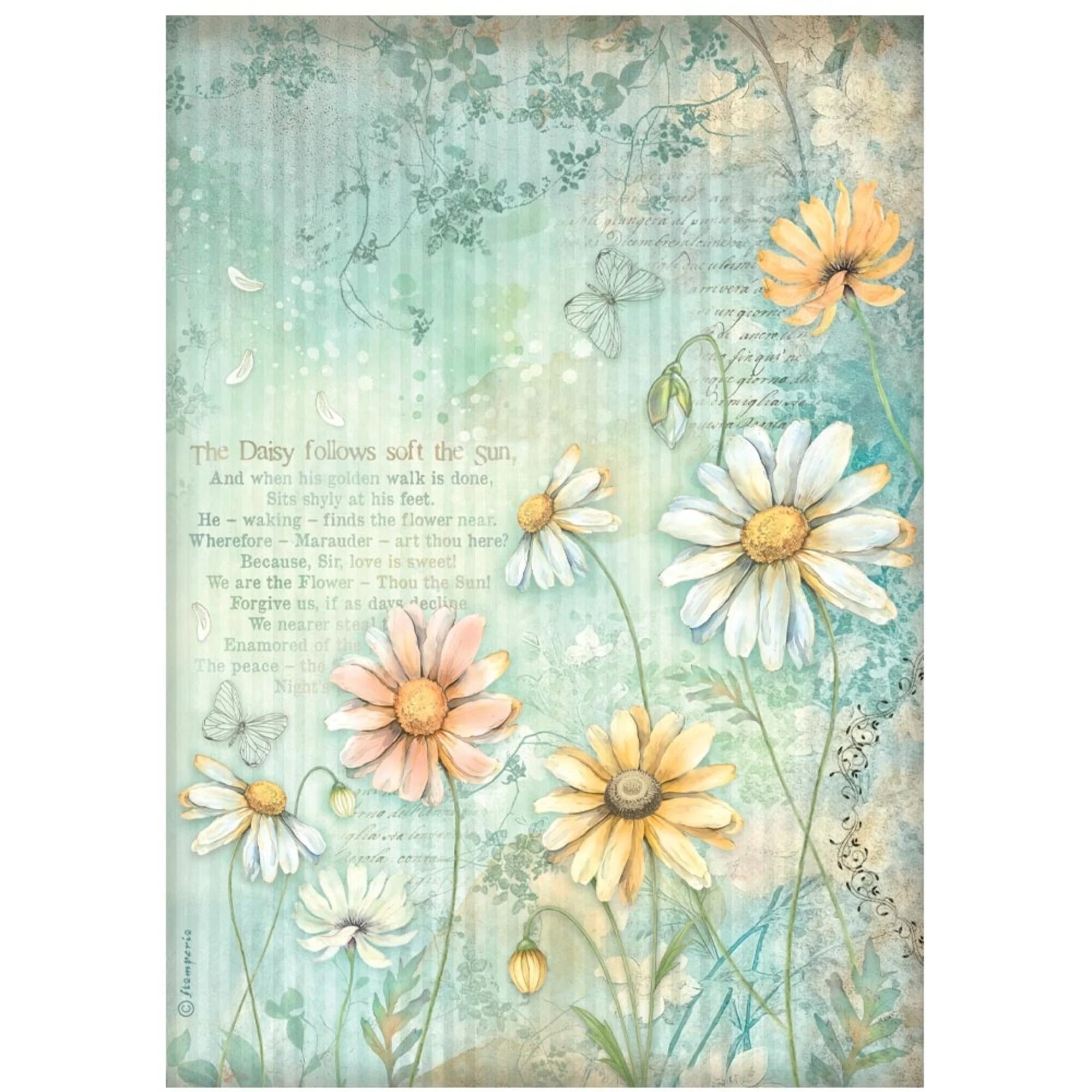 Stamperia - Daisy Art -  Daisies - Rice Paper A4