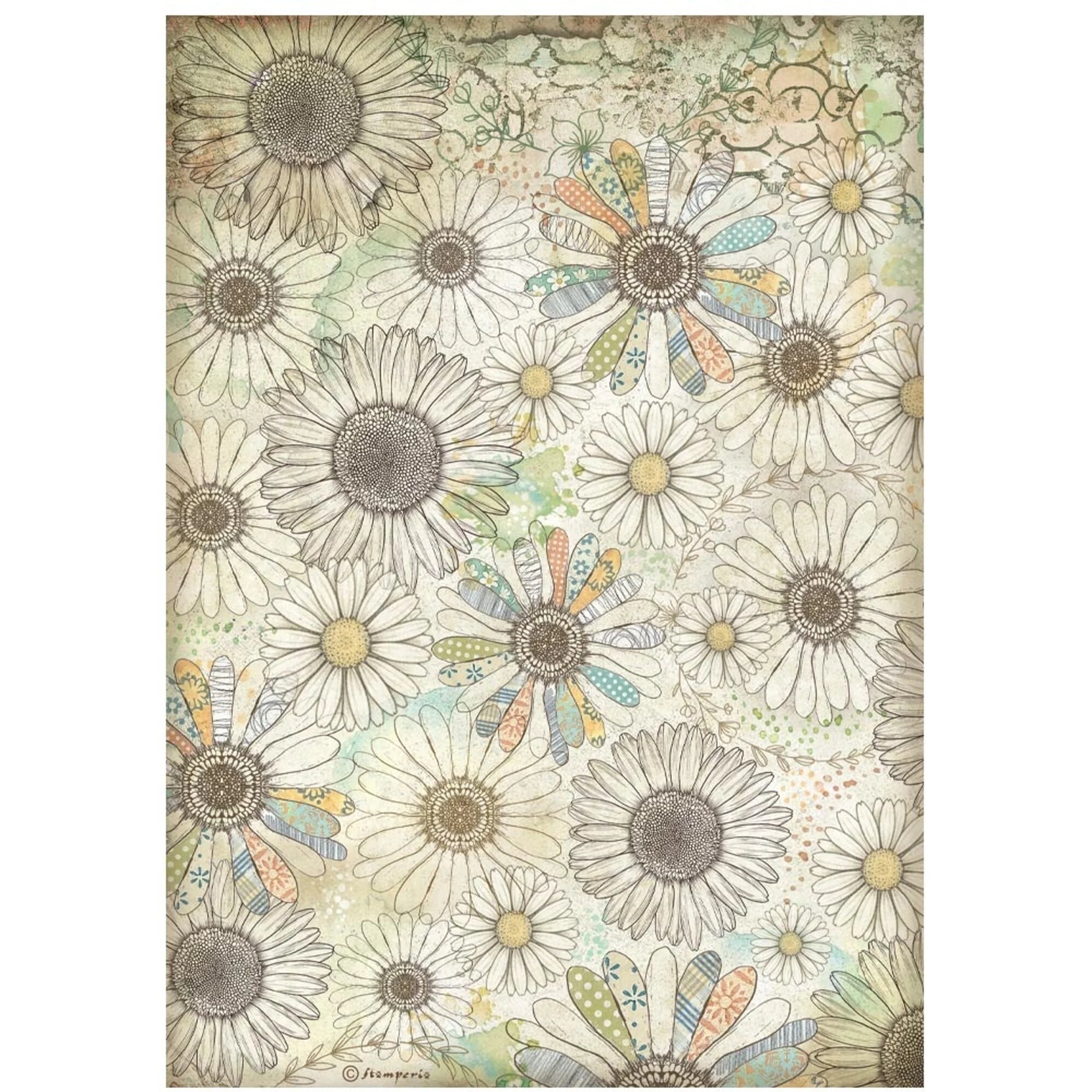 Stamperia - Daisy Art - Rice Paper Selection A4