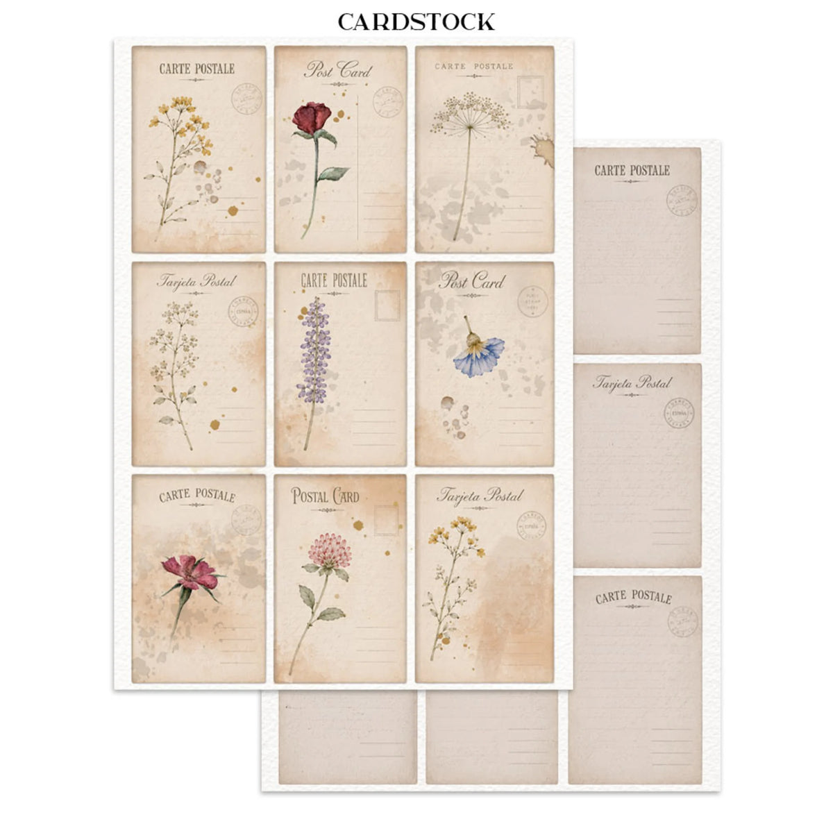Stamperia - Junk Journal - Flowers and Poems - Focus Points - A5