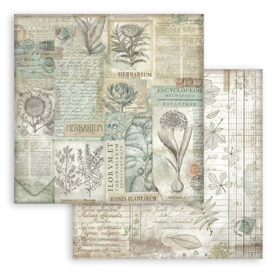 Stamperia - Herbarium Silvae - Maxi Background Selection - Paper Pad - 12 x 12"