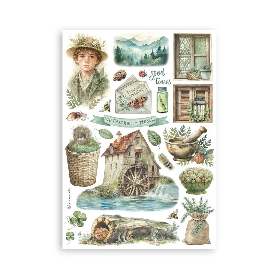 Stamperia - Herbarium Silvae - Washi Pad A5